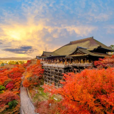 المناظر الطبيعية في اليابان خلال الخريف