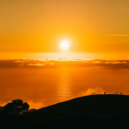 الموارد البشرية السعودية: انتهاء تطبيق قرار حظر العمل تحت أشعة الشمس اليوم