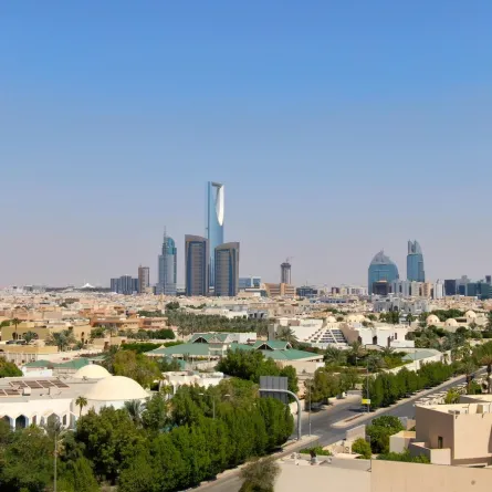 مدينة الرياض