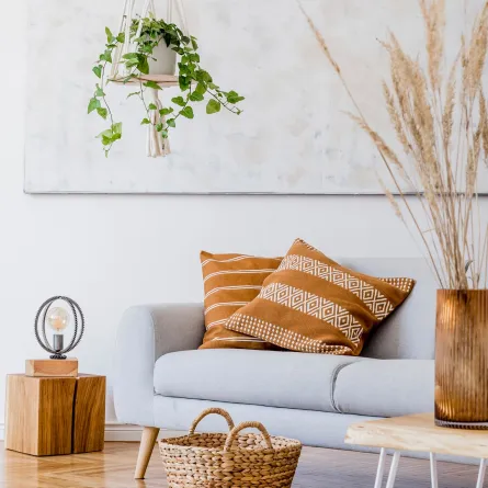 غرفة جلوس مع نباتات وإكسسوارات