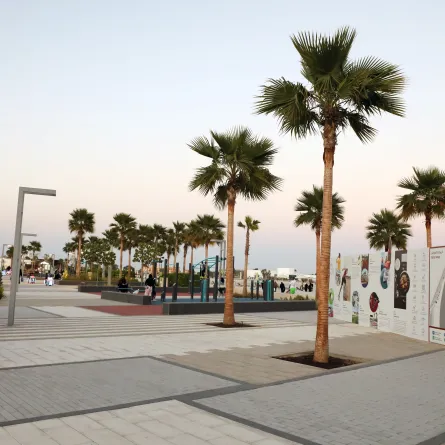 أم القوين. الصورة من wam