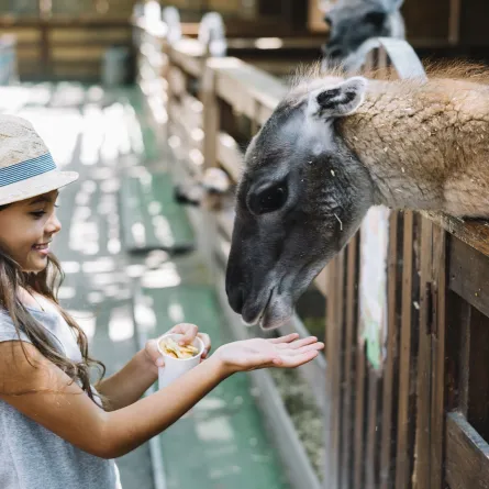 صورة لطفلة في حديقة الحيوانات