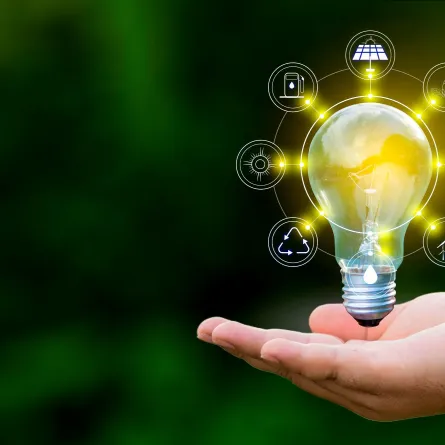 الشركات والاستدامة- الصورة من Adobestock