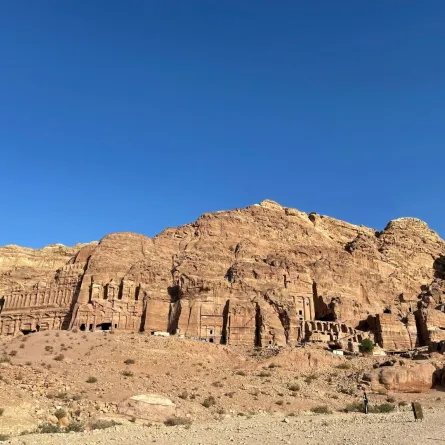 يعود إلى ما قبل التاريخ.. العثور على أقدم كحل عيون في تركيا