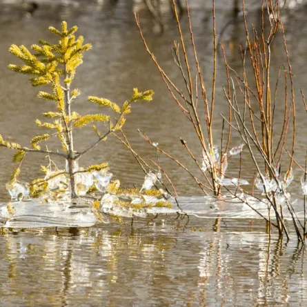التغيرات الموسمية.. كيف تتغيَّر درجات الحرارة بين الصيف والشتاء؟
