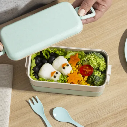 صندق الغداء أو اللانش بوكس 