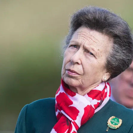 الأميرة آن في لوس-أون-جوهيل، بالقرب من لنس، شمال فرنسا (Princess Anne in Loos-en-Gohelle, near Lens, northern France). مصدر الصورة: Sameer Al-DOUMY / AFP