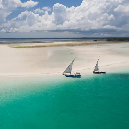 شاطئ الرمال البيضاء في جزيرة بيمبا بزنجبار 