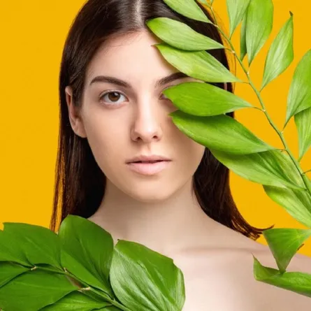 طرق استخدام أوراق السدر للوجه