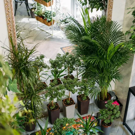 حديقة منزلية داخلية