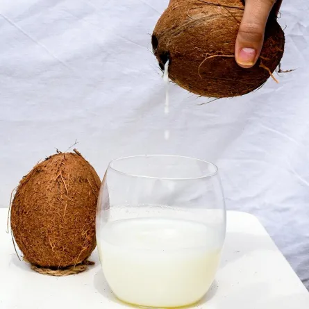فوائد ماء جوز الهند في ترطيب الجسم