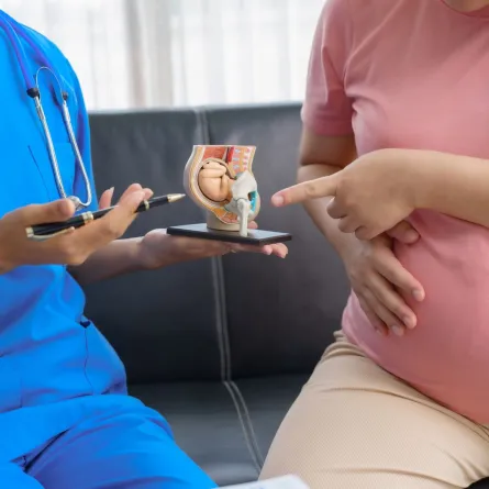 صورة حامل تتعرف على المخاطر