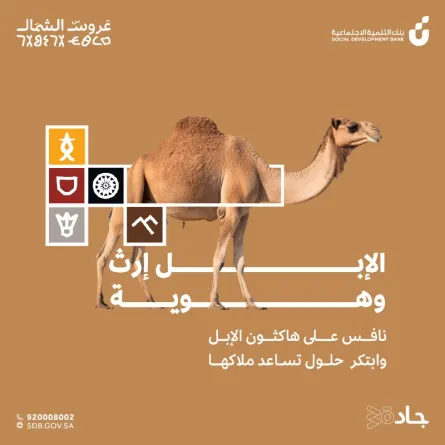  هاكثون الإبل