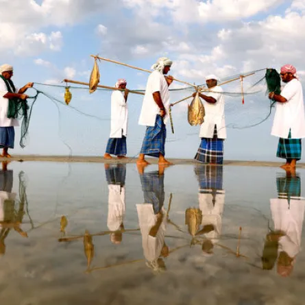 مهرجان الياسات. الصورة من مكتب أبوظبي الإعلامي 