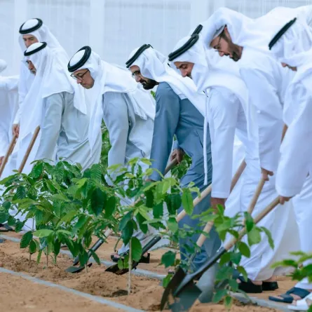 الشيخ محمد بن راشد يطلق برنامج "ازرع الإمارات". الصورة من الحساب الرسمي للشيخ محمد على منصة x