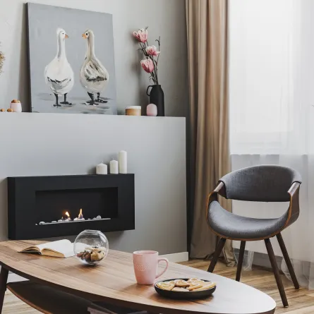 غرفة معيشة، مع مدفأة كهربائية 