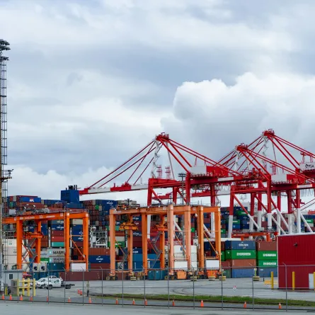 "الصادرات السعودية" تطلق خدمة "استورد من السعودية" - الصورة من pexels by braeson holland