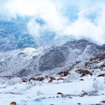 جبل اللوز في السعودية- الصورة من واس