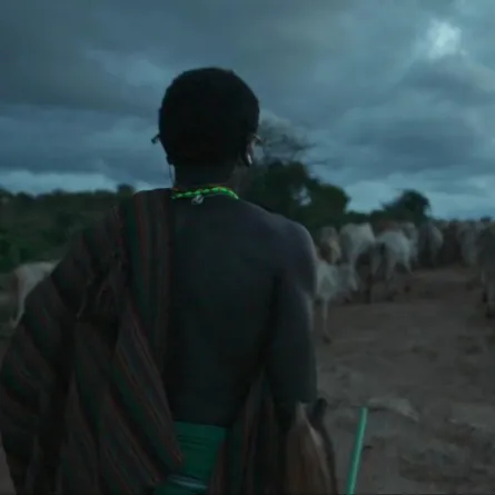 فيلم الصراع لأجل لايكيبيا - الصورة من المركز الإعلامي لمهرجان الجونة