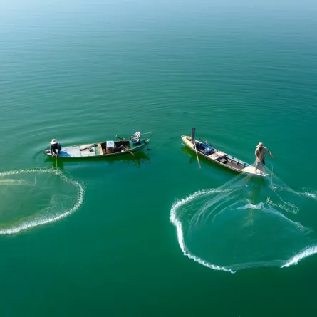 تفسير حلم صيد السمك للمتزوج