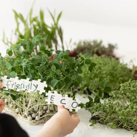 يحتوي السمح على العديد من البروتينات والسكريات والمعادن والفيتامينات Image By Freepik