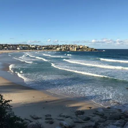 ظهور مخلوق غريب على أحد شواطئ أستراليا أثار دهشة الجميع