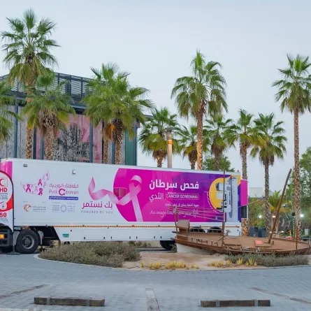 القافلة الوردية. الصورة من wam