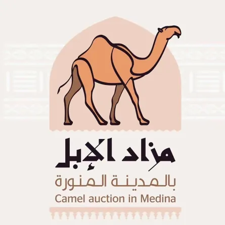 مزاد الإبل