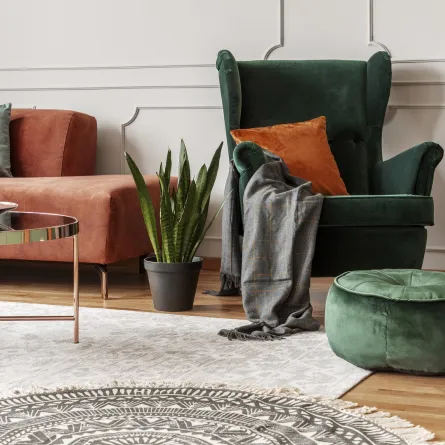 غرفة معيشة موزعة فيها قطع أثاث من المخمل