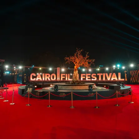 بوستر مهرجان القاهرة السينمائي - الصورة من المركز الصحفي