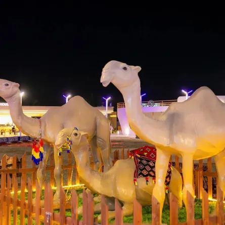 الهيئة الملكية بينبع