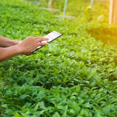 باتت التكنولوجيا الحيوية تلعب دوراً متزايداً في تحسين صحة التربة وتعزيز قدرتها على مقاومة التدهور