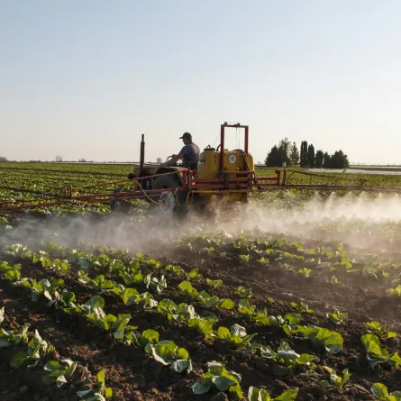 تفسير حلم الحديقة الكبيرة في المنام