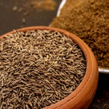 صورة لطبقين من الكمون المطحون والصحيح