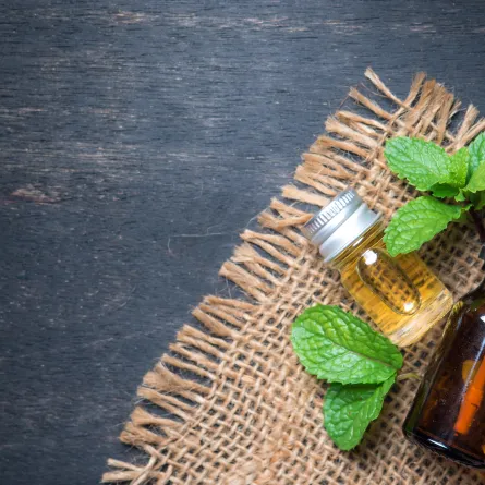 زيت النعناع 