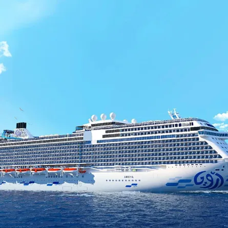 سفينة أرويا كروز