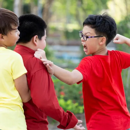 صورة لطفل عدواني