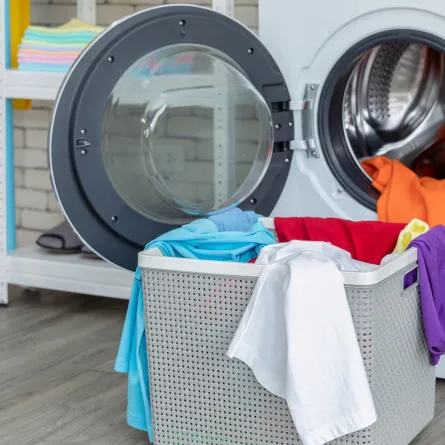 العناية بالملابس