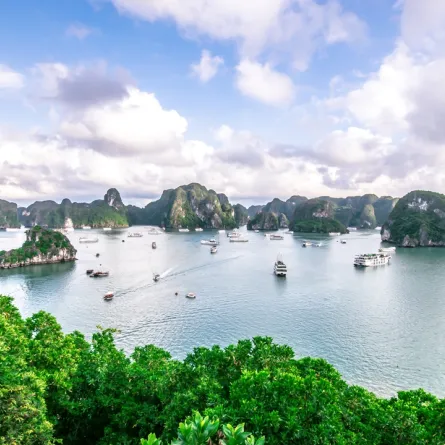 خليج هالونج 