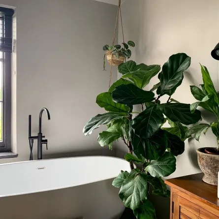 حمام منزلي نظيف