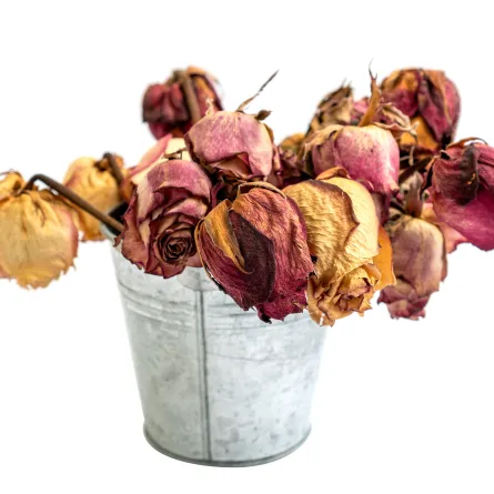 تجفبف الورود