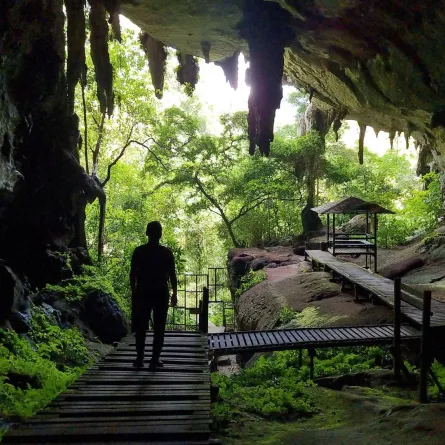 مجمع كهوف متنزه نياه الوطني