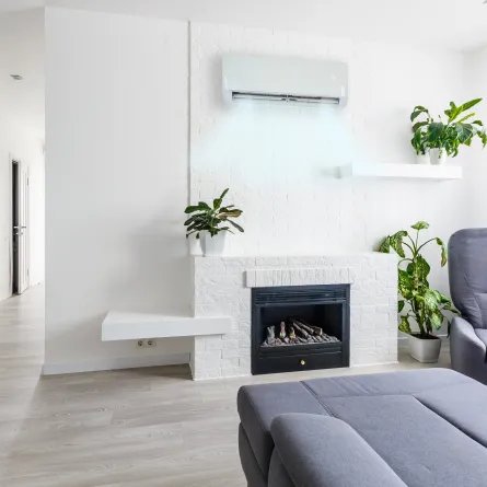غرفة معيشة تحتوي على مدفأة، ومكيف هواء، ونباتات داخلية