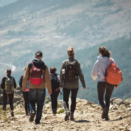 تفسير حلم التوهان في الطريق