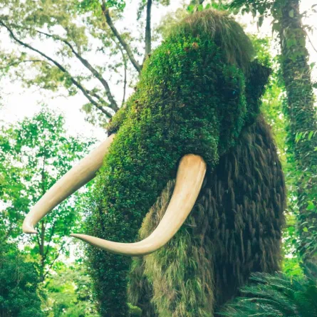 ويعد اكتشاف بقايا ماموث يانا حدثاً استثنائياً في عالم علم الآثار