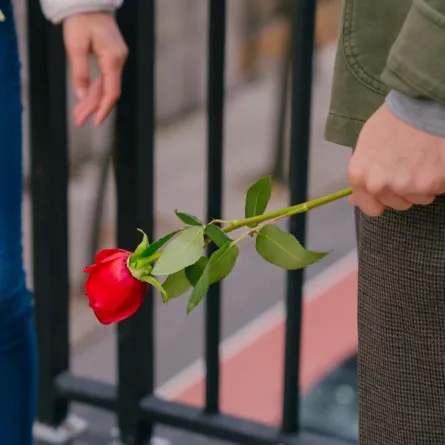 زوج يحمل وردة حمراء لزوجته 