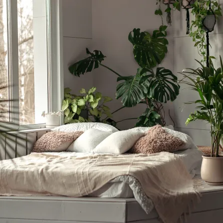 غرفة نوم مزينة بنباتات كثيرة 