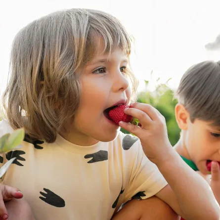 صورة أطفال يأكلون الفراولة