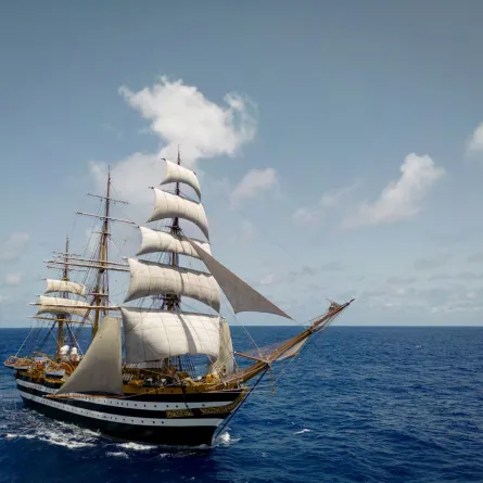 صورة ميناء زايد يستقبل السفينة الأجمل في العالم