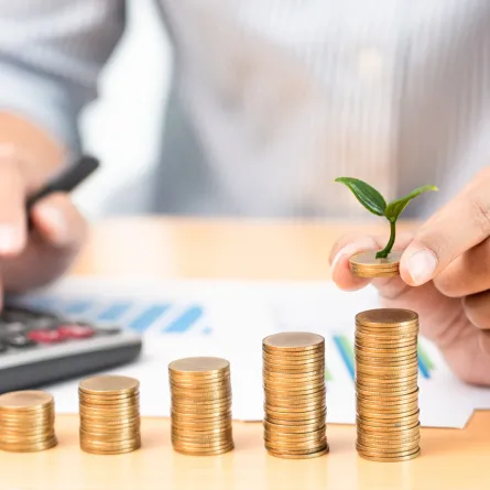 مجالات الاستثمار في عام 2025